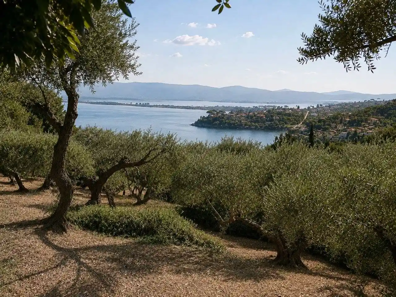 Rustico - Casale in vendita a Monte Argentario