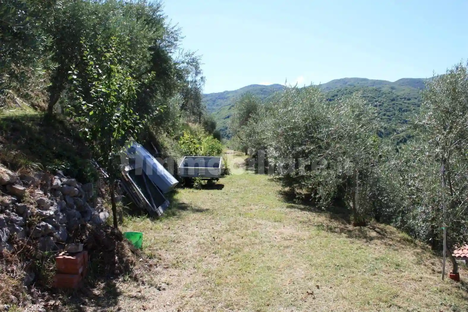 Rustico - Casale - foto 2