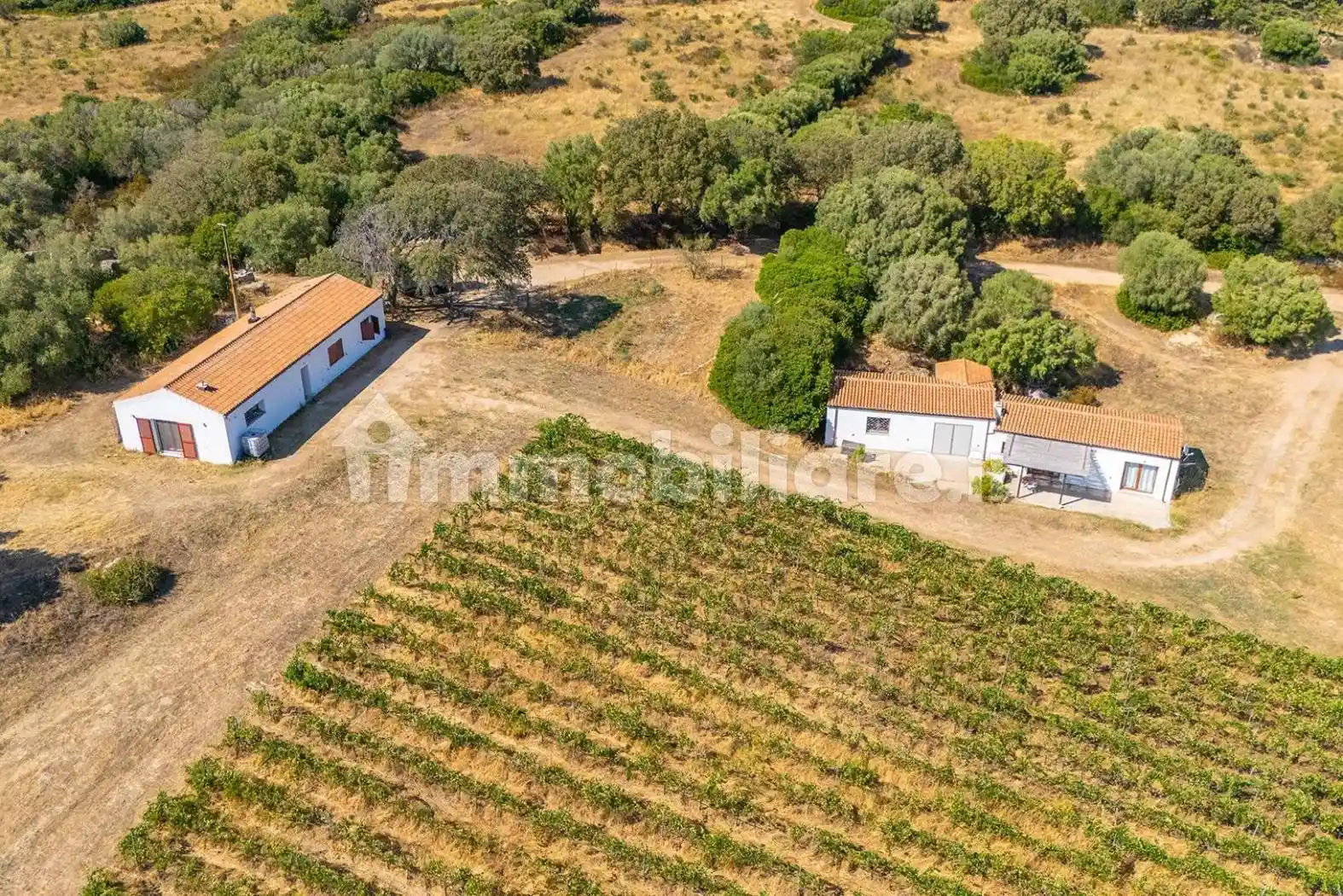 Casa indipendente in vendita a Olbia