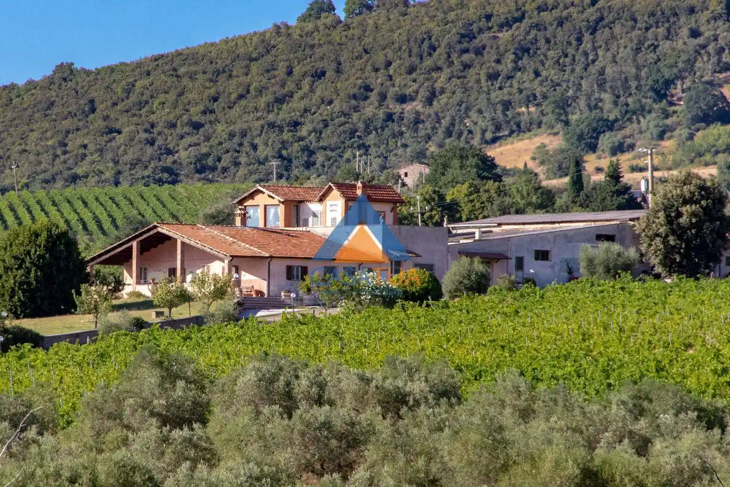 Rustico - Casale in vendita a Montecchio