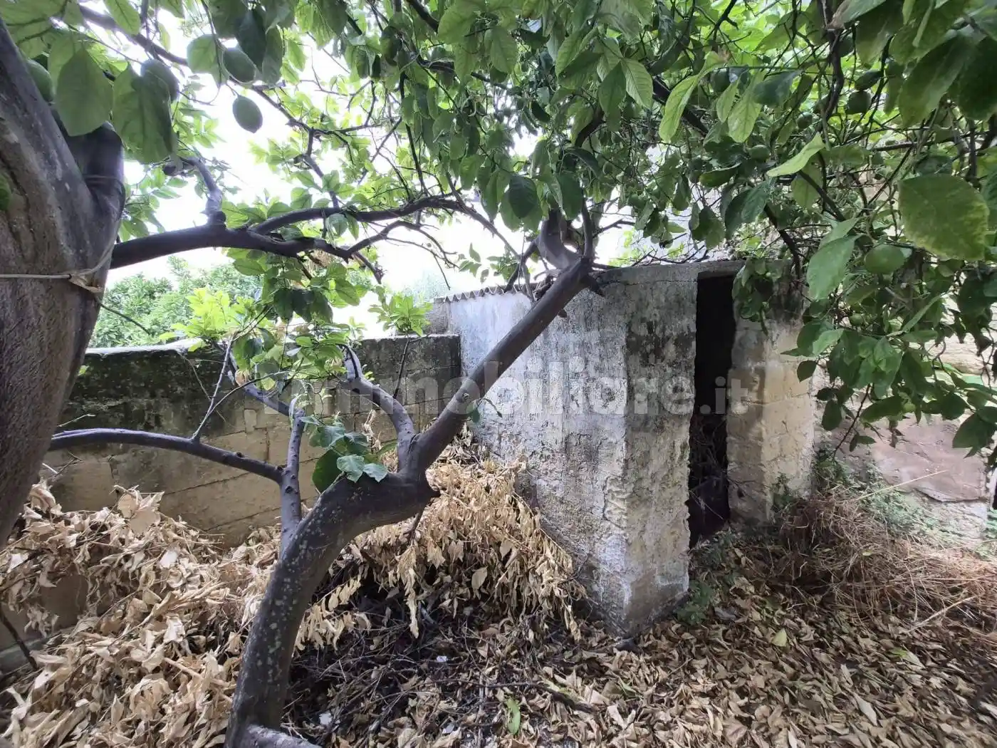 Casa indipendente in vendita a Cavallino