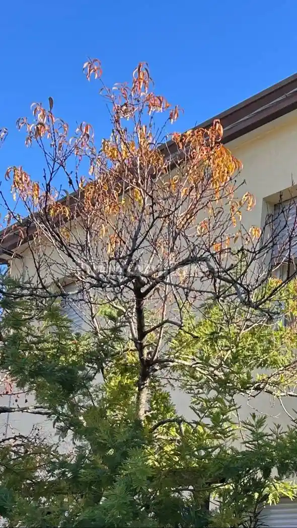 Villa in vendita a Padova