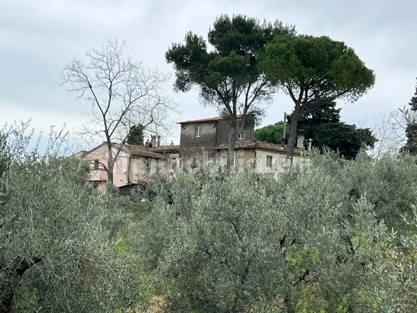 Rustico - Casale in vendita a Collesalvetti