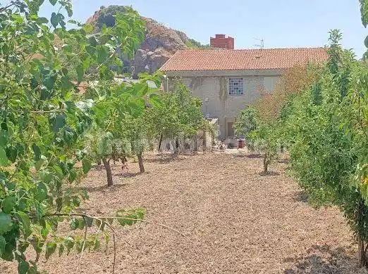 Villa in vendita a Santa Elisabetta