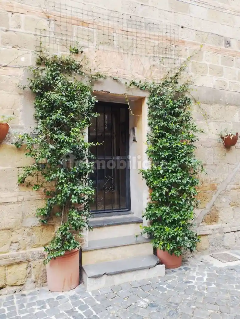 Appartamento in affitto a Grotte di Castro