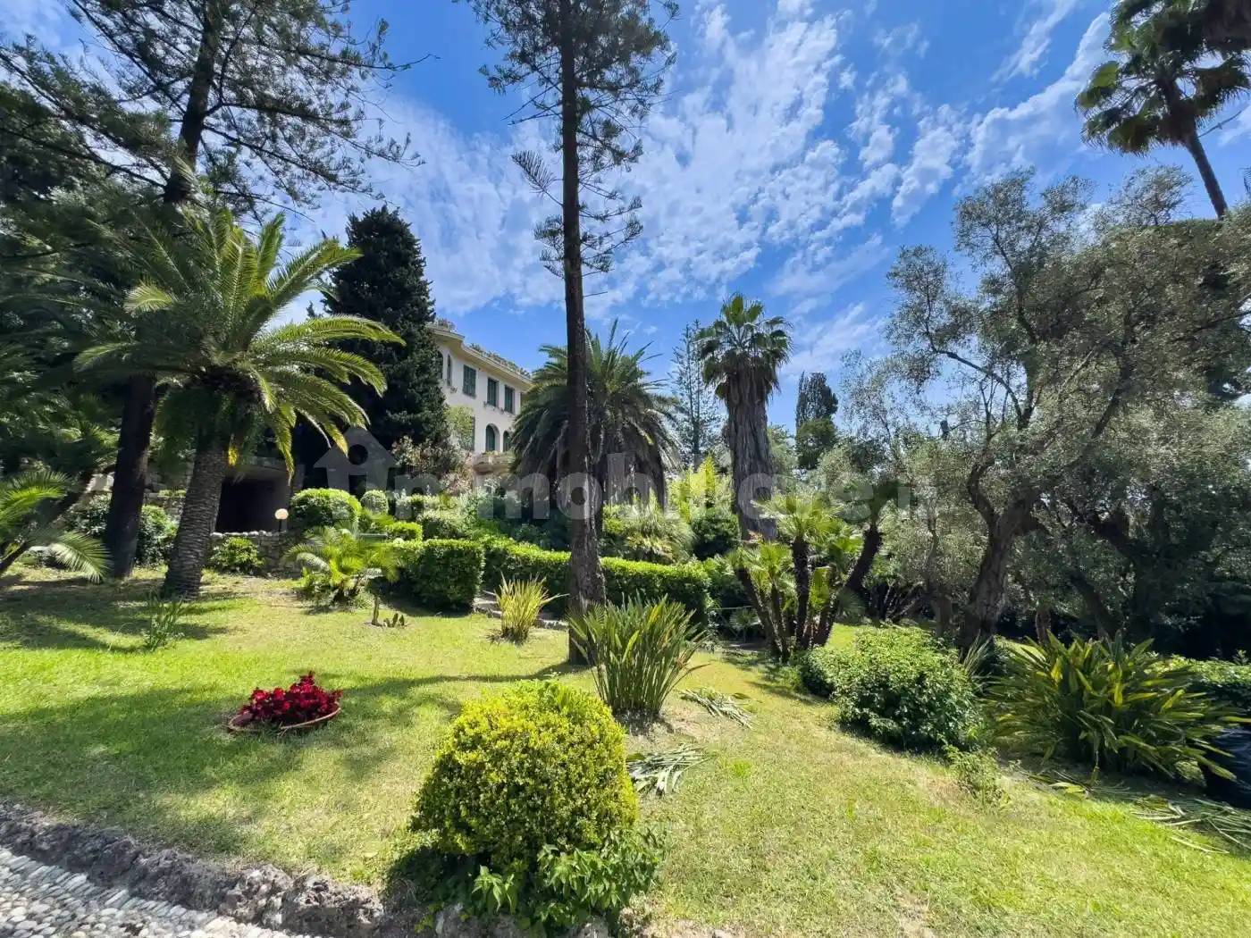 Appartamento in affitto a Bordighera