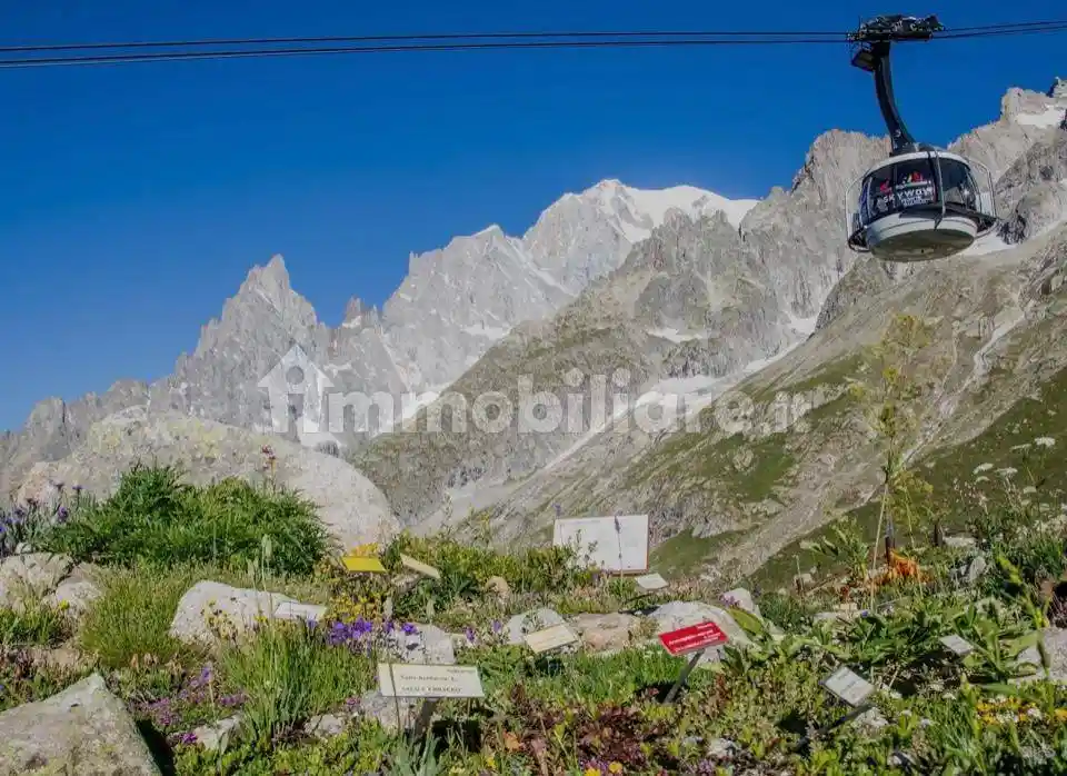 Appartamento in affitto a Courmayeur