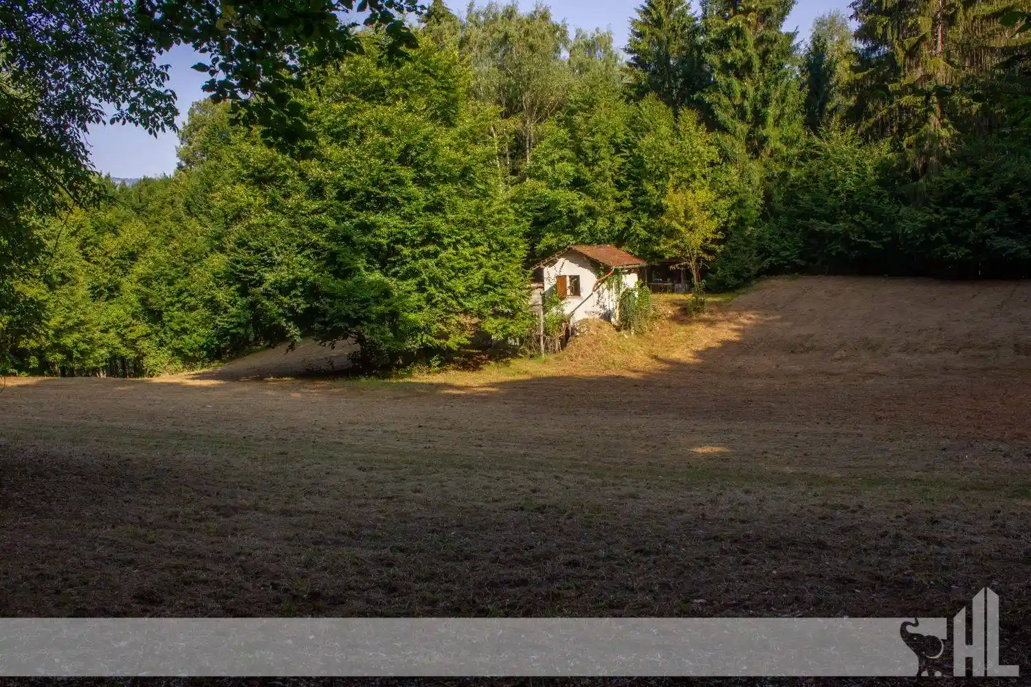 Rustico - Casale in vendita a Fonzaso