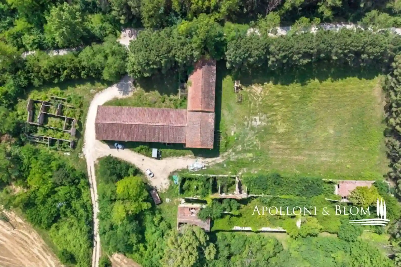 Rustico - Casale - foto 4