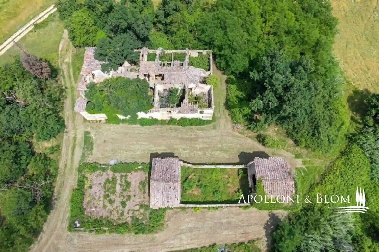 Rustico - Casale - foto 2