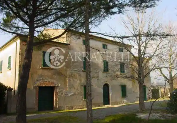 Rustico - Casale in vendita a Montescudaio