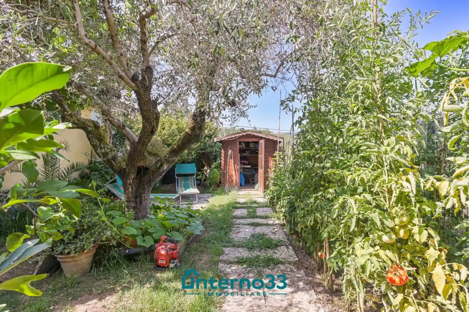 Casa indipendente - foto 4