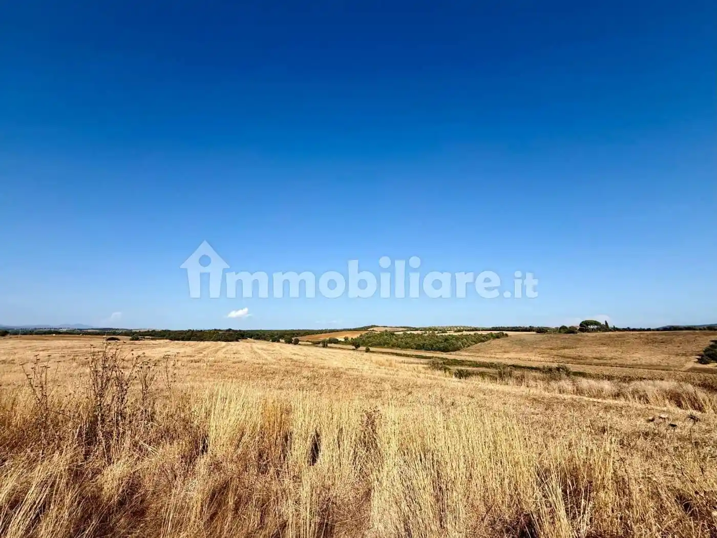 Villa in vendita a Magliano in Toscana