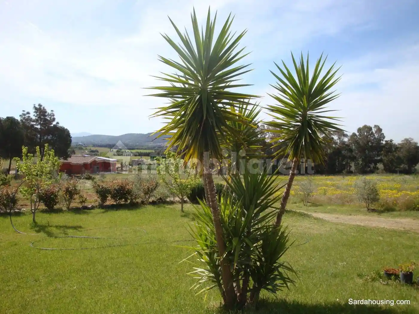 Villa in vendita a Donori