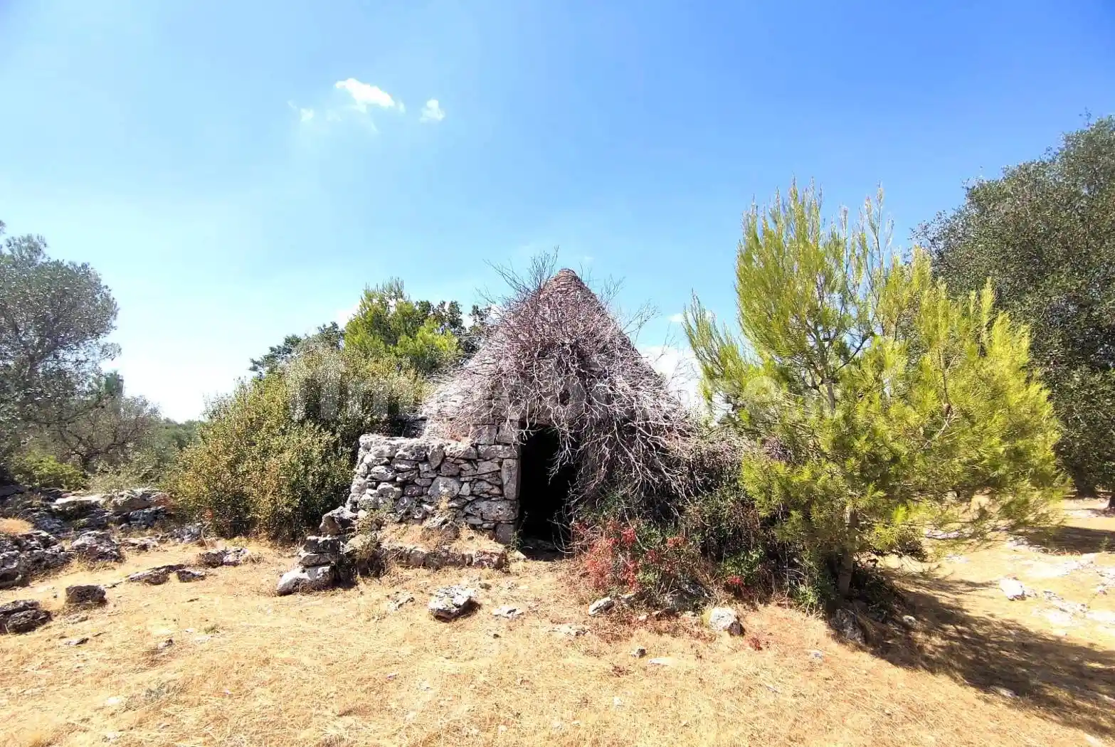 Rustico - Casale in vendita a Martina Franca