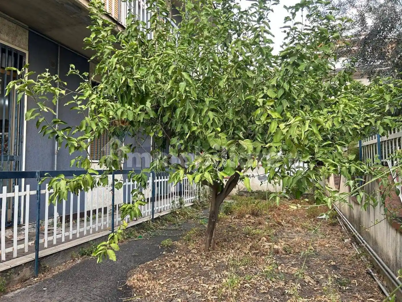 Appartamento in vendita a Belpasso