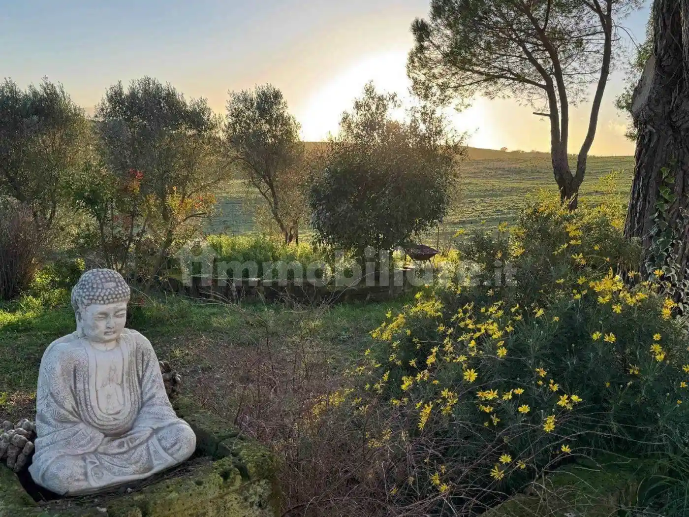 Casa indipendente in vendita a Manciano