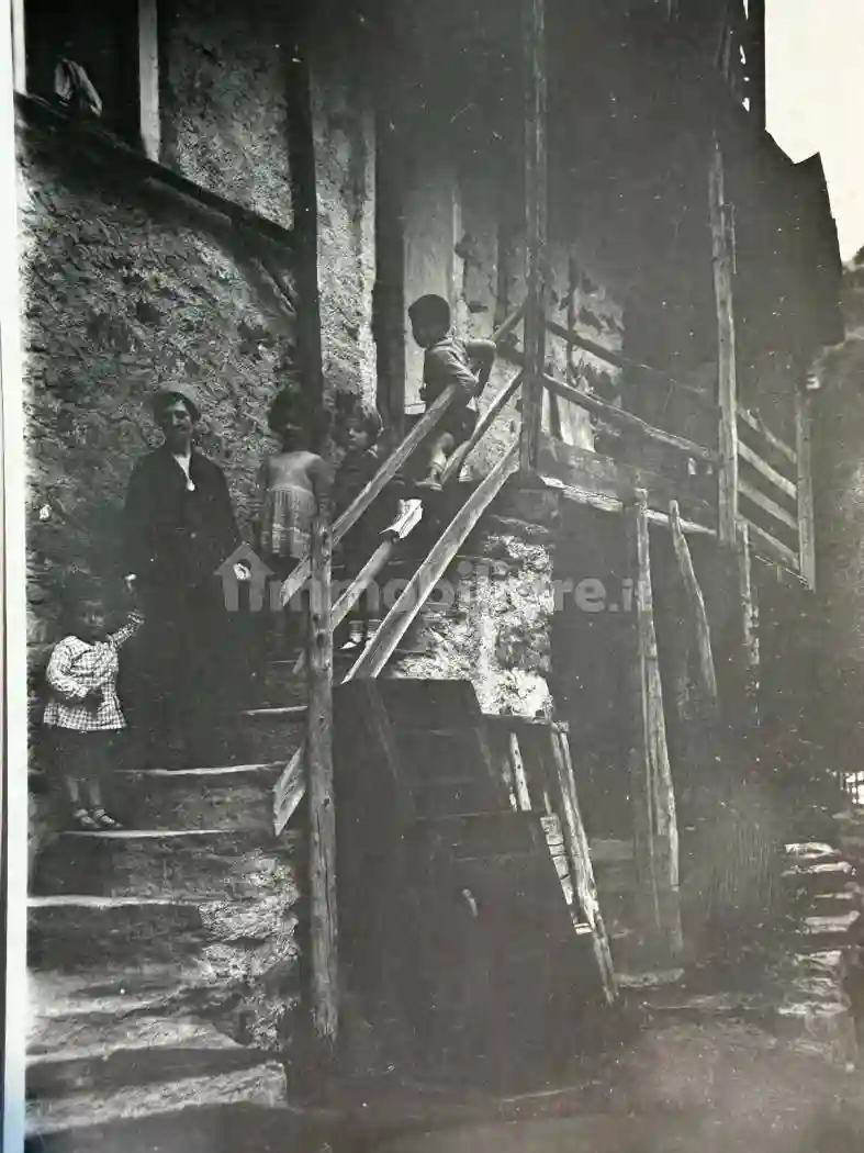Palazzo - Edificio - foto 2