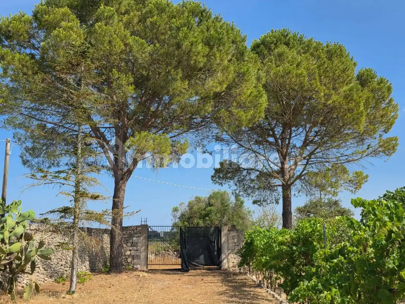 Rustico - Casale in vendita a Maglie