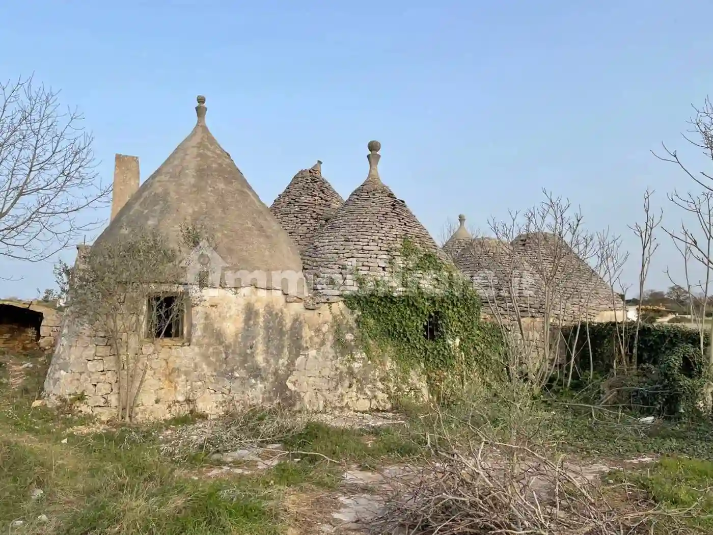 Rustico - Casale - foto 5