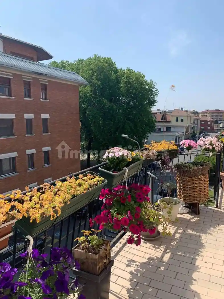 Appartamento in affitto a Novara