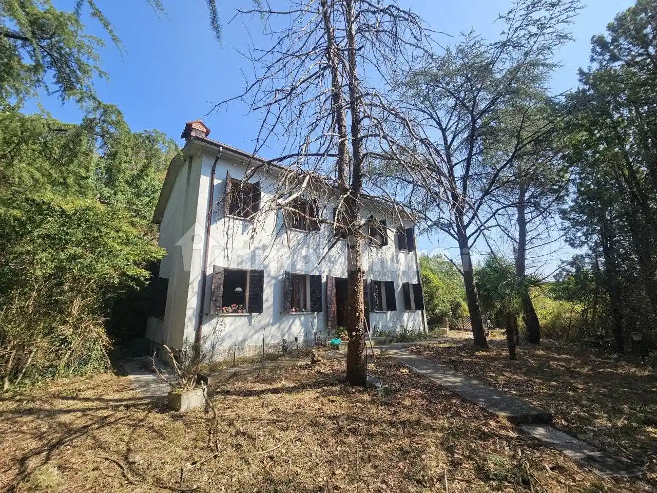 Rustico - Casale in vendita a Baone