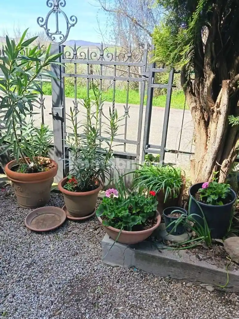 Appartamento in affitto a San Benedetto Val di Sambro