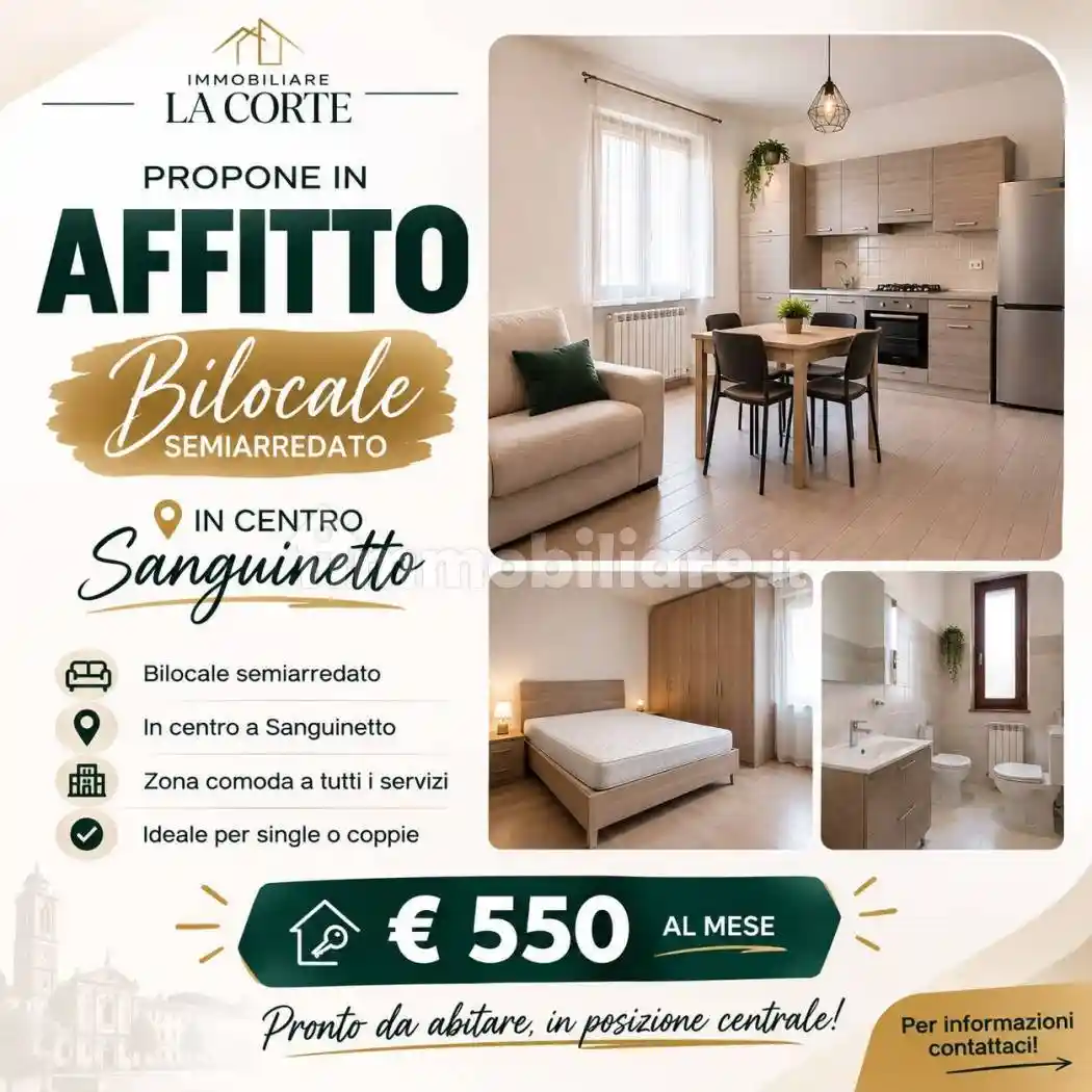 Appartamento in affitto a Sanguinetto
