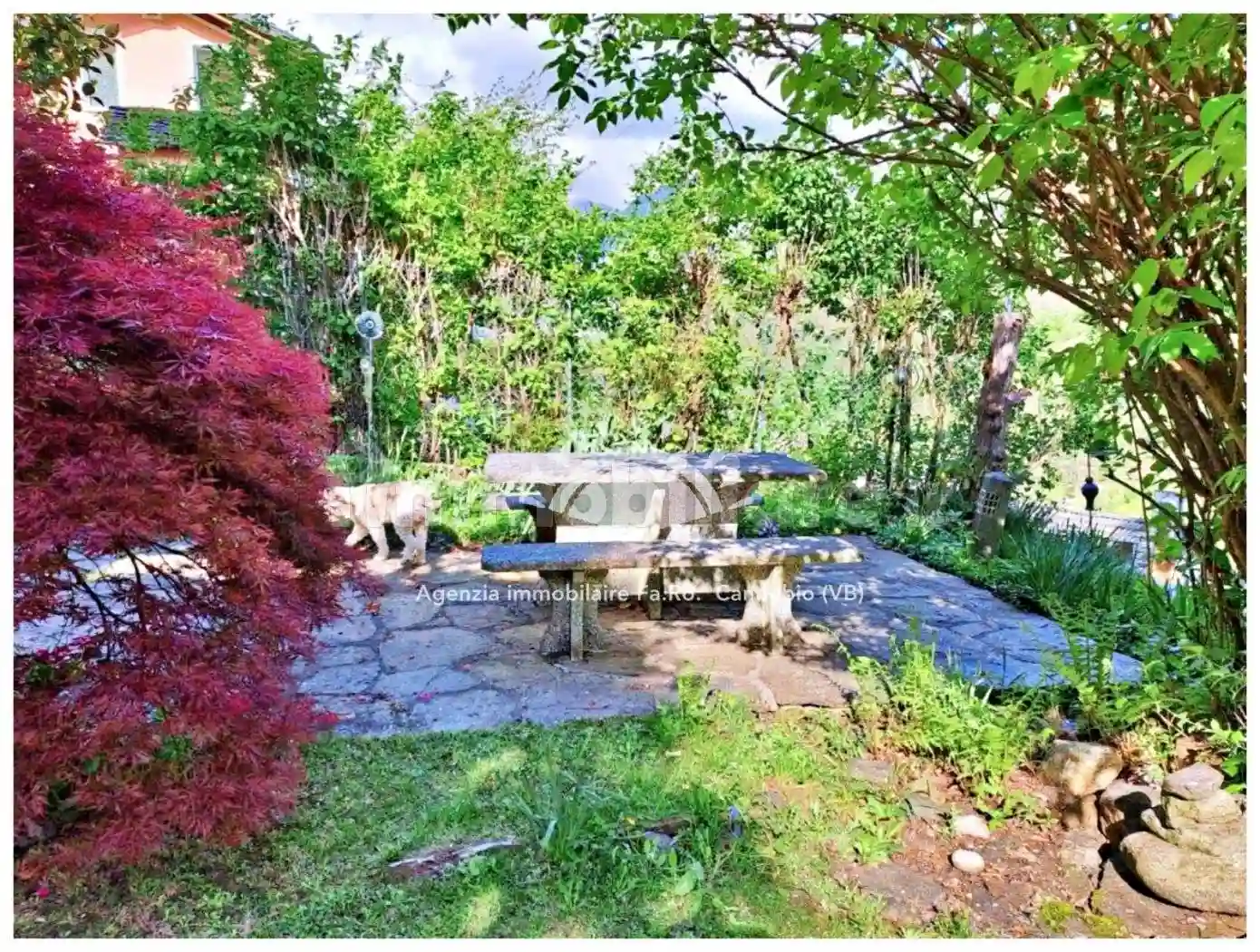Rustico - Casale - foto 4