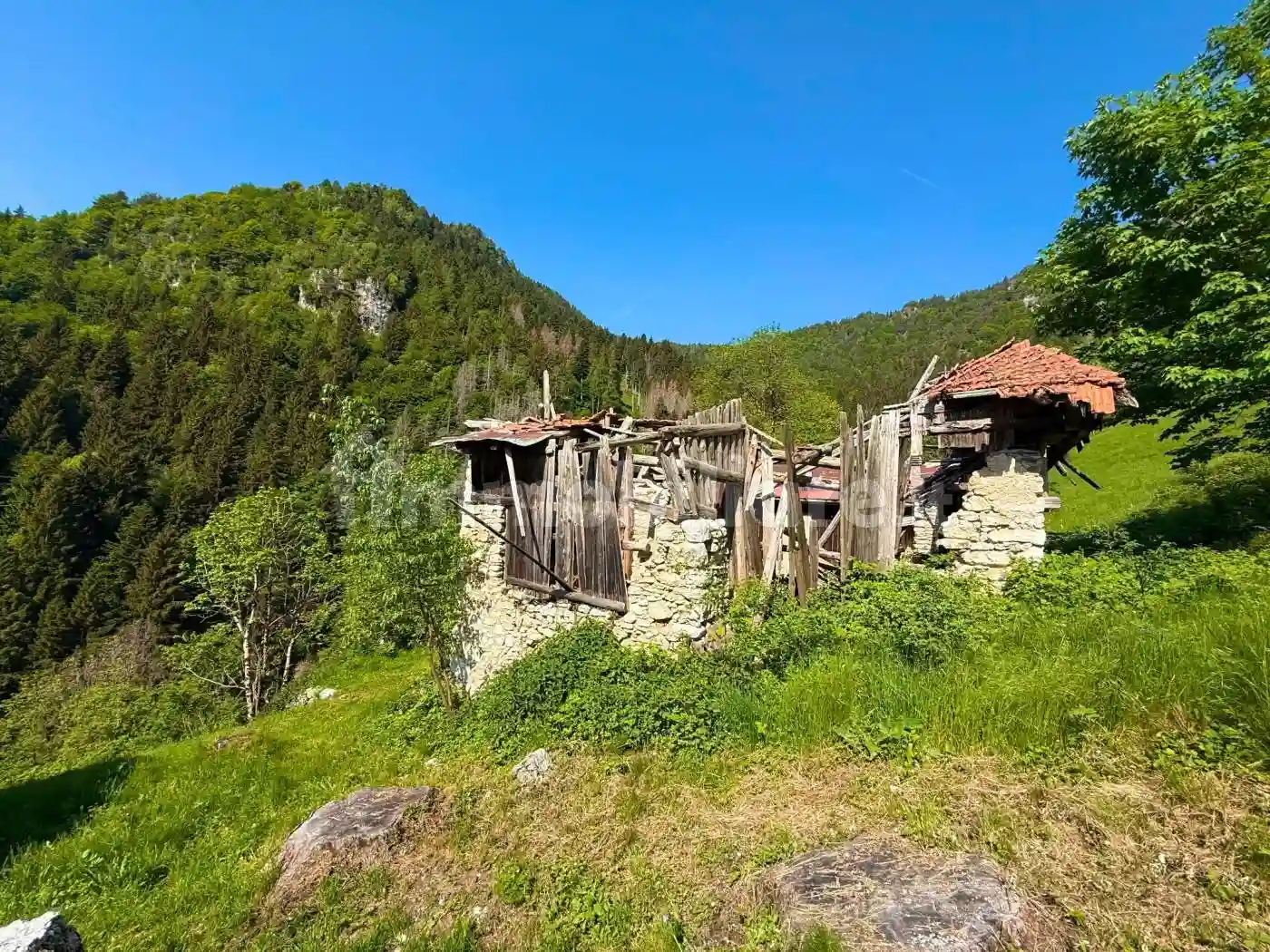 Rustico - Casale - foto 5