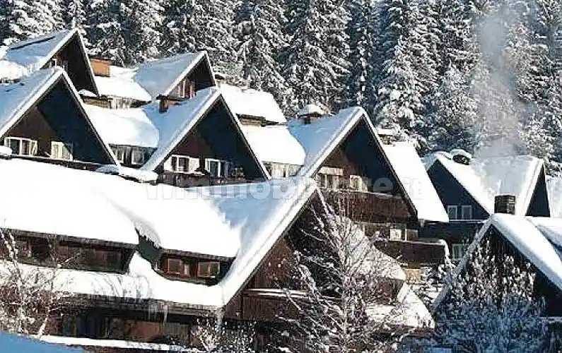 Appartamento in affitto a Tarvisio