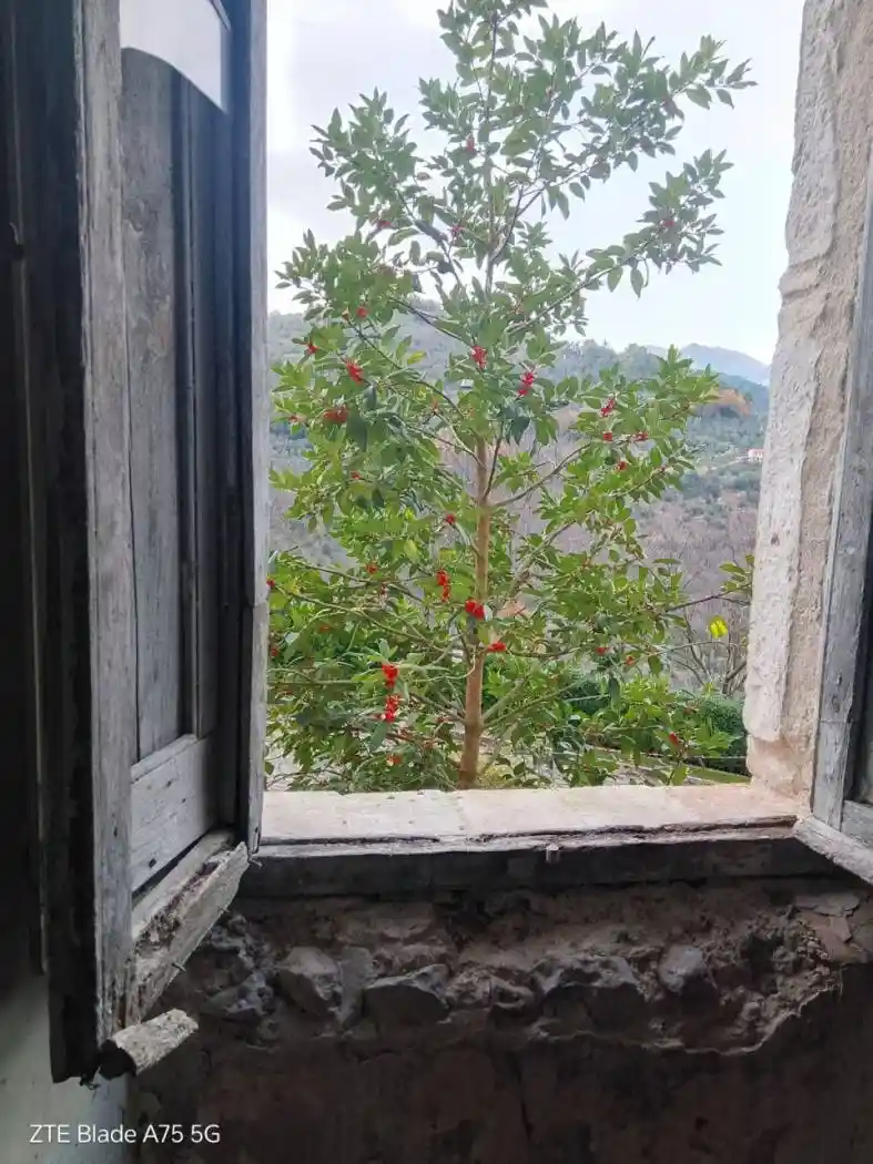 Appartamento in vendita a Montefranco
