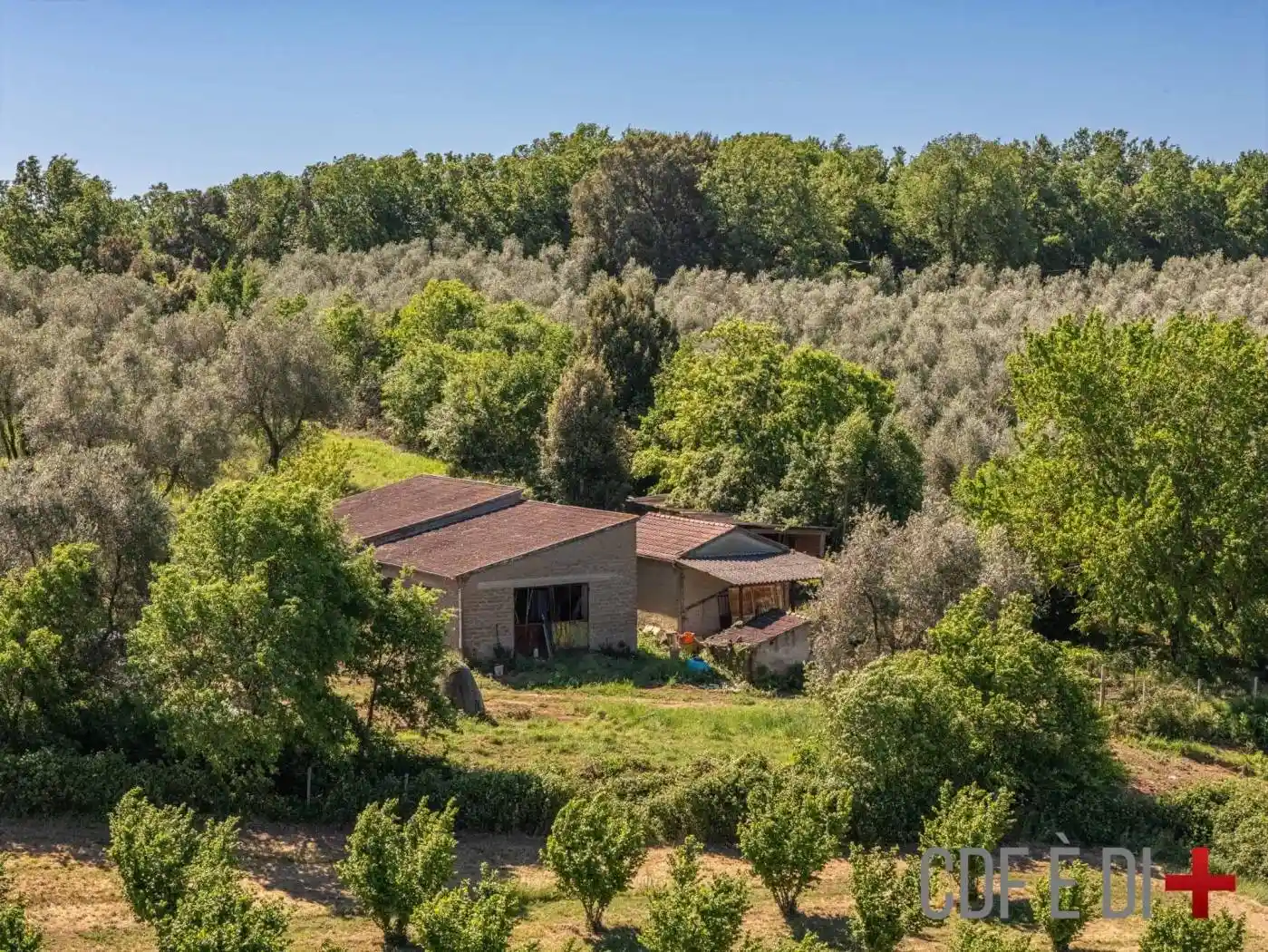 Rustico - Casale in vendita a Sorano