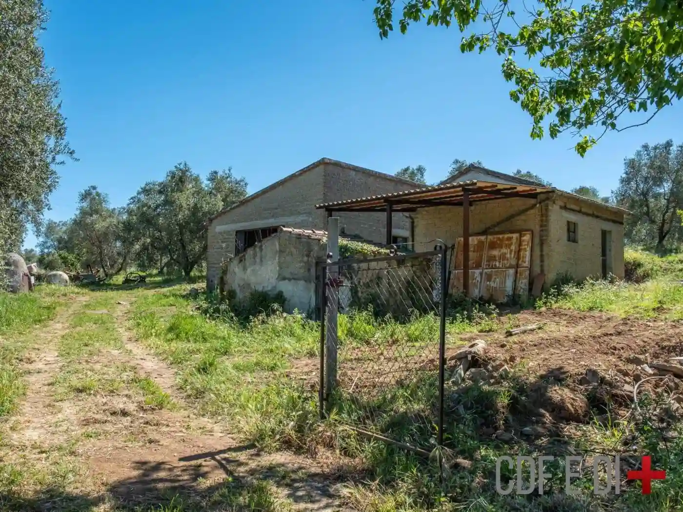 Rustico - Casale - foto 3