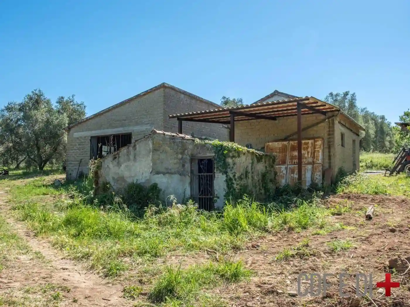 Rustico - Casale - foto 4