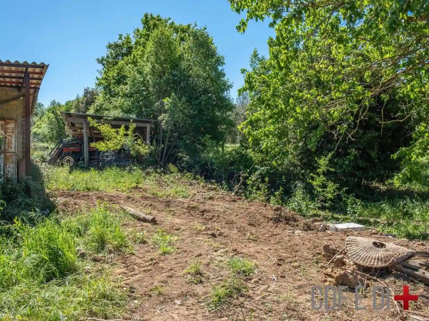 Rustico - Casale - foto 5