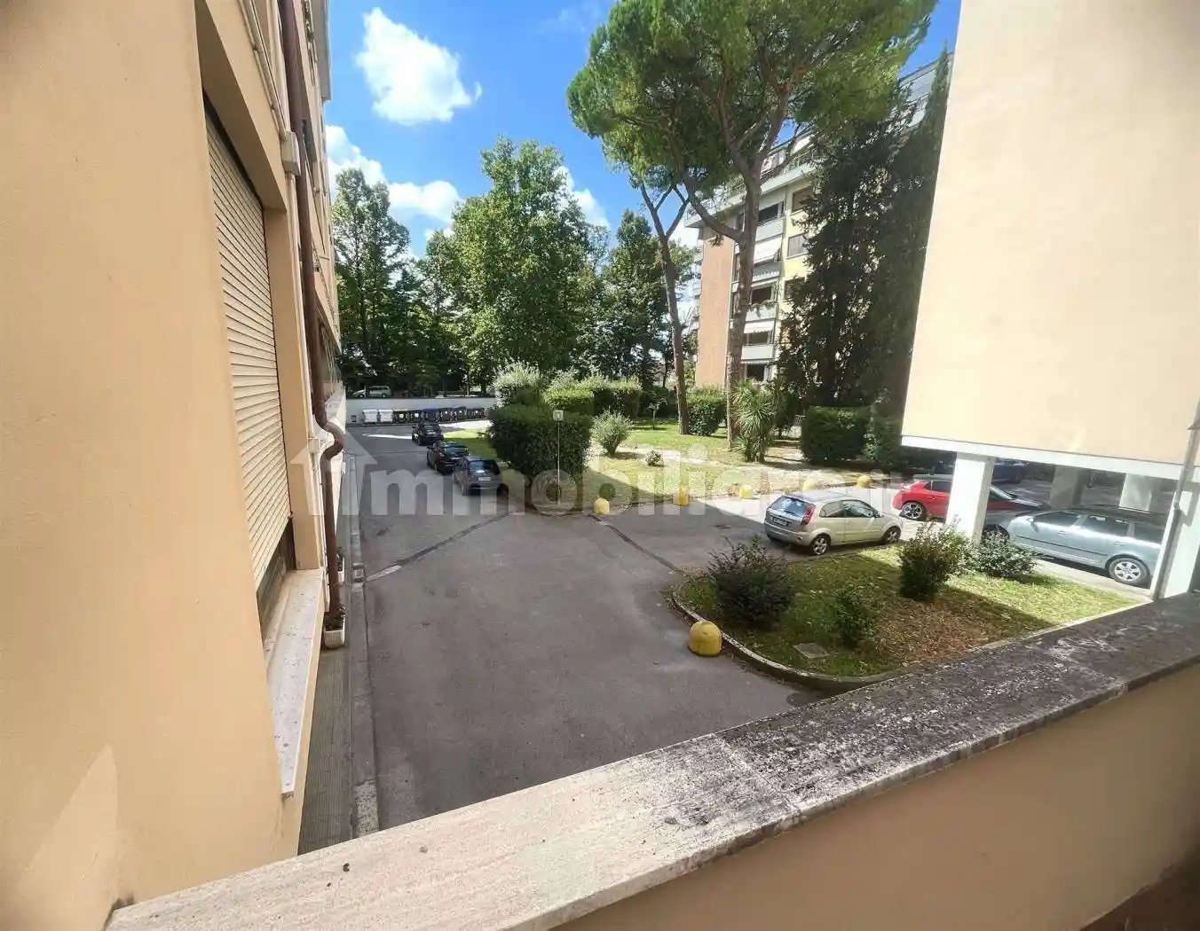 Appartamento in affitto a Pisa