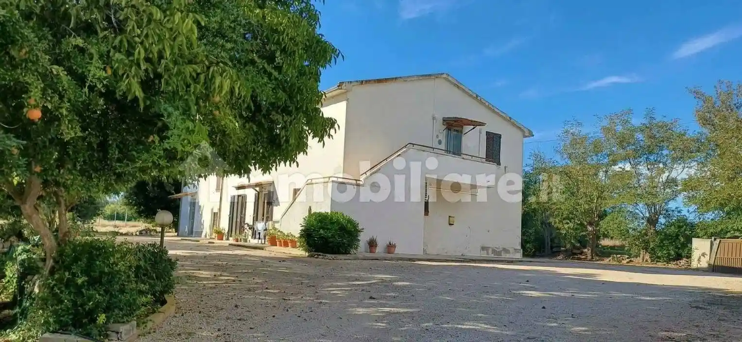 Appartamento in affitto a Capalbio