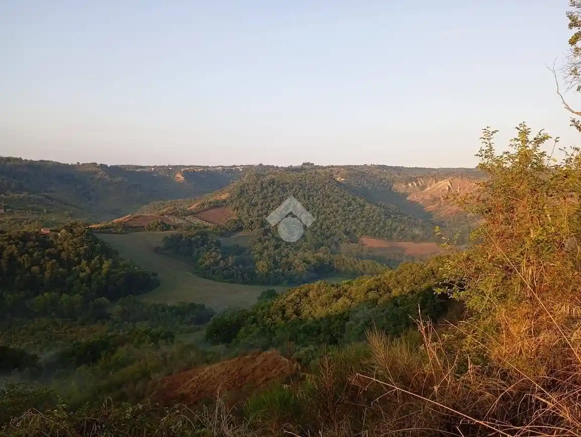 Villa in vendita a Civitella d'Agliano