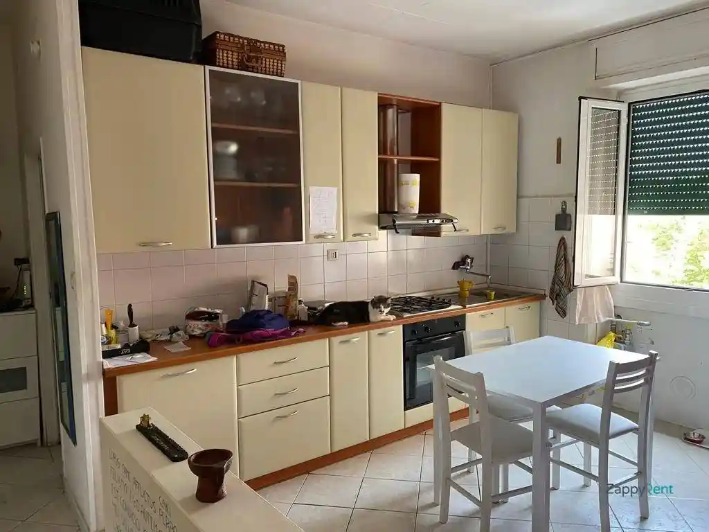 Appartamento in affitto a Baranzate
