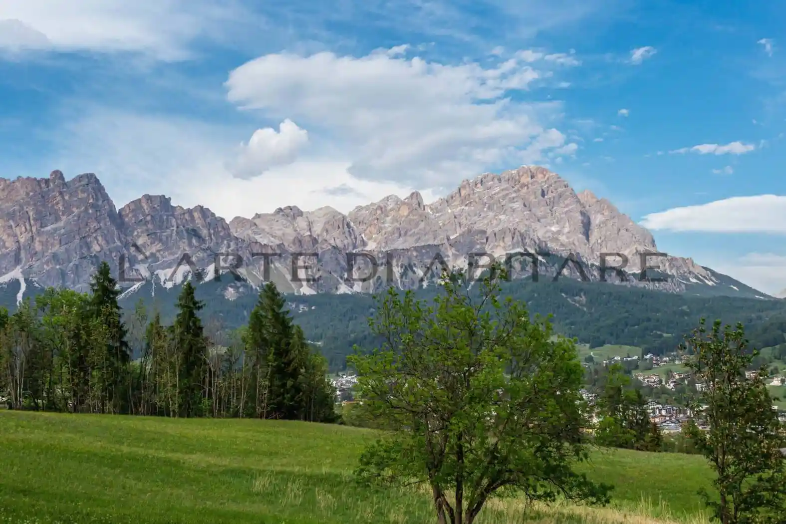 Appartamento in affitto a Cortina d'Ampezzo