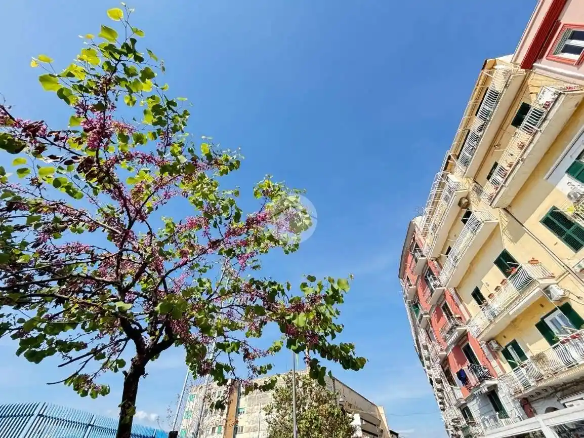 Appartamento in vendita a Castellammare di Stabia