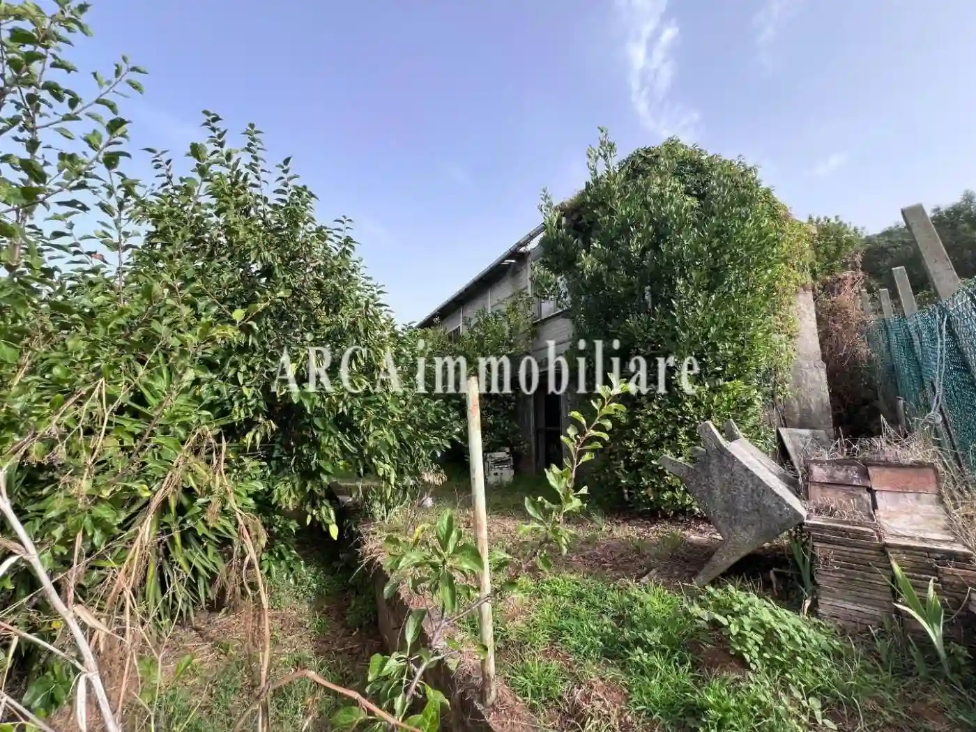 Rustico - Casale - foto 4
