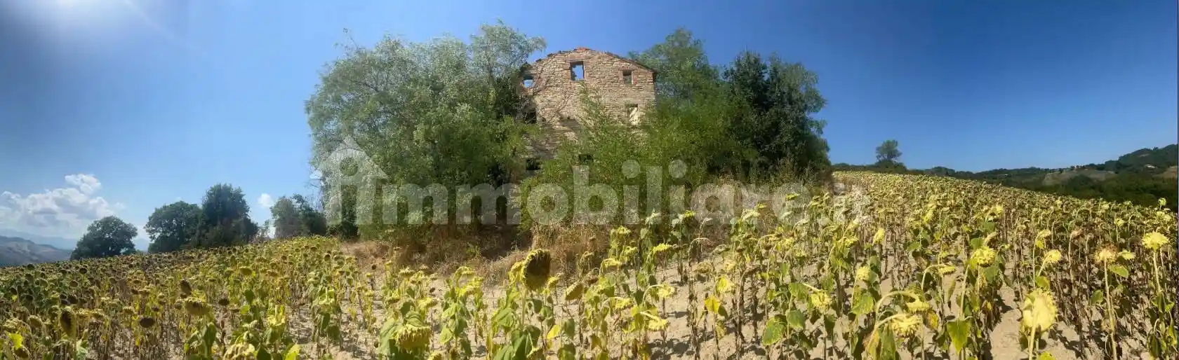 Rustico - Casale in vendita a Montelparo