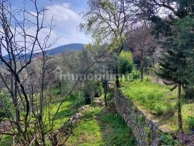 Rustico - Casale in vendita a Ameglia