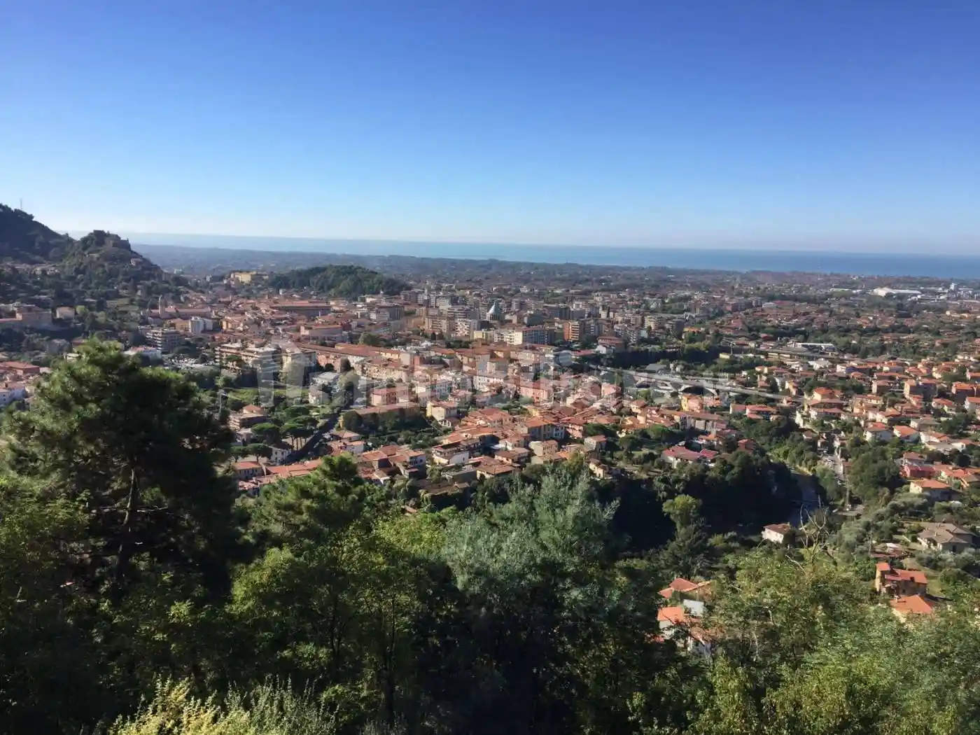 Appartamento in affitto a Massa