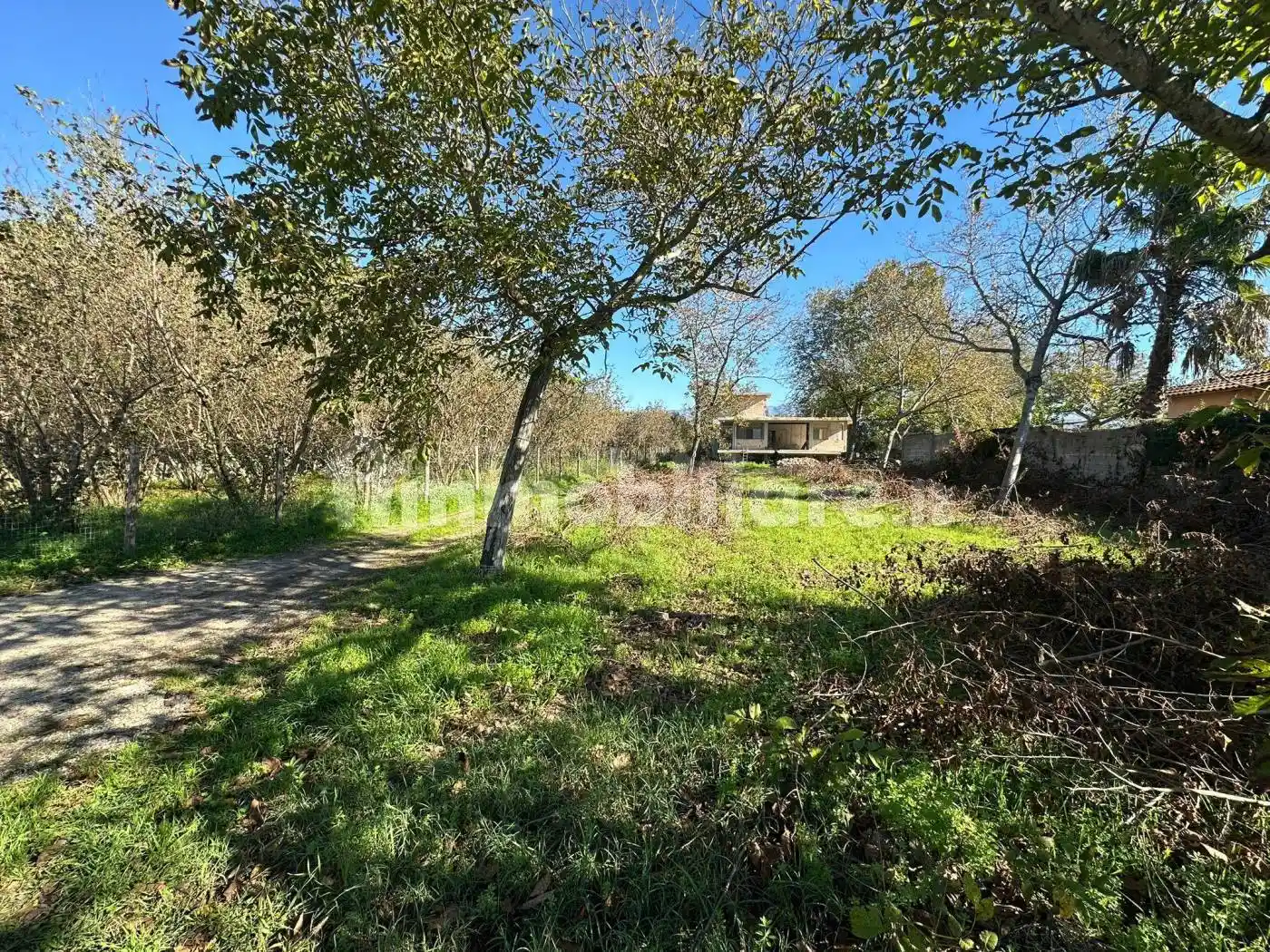 Villa in vendita a Scisciano