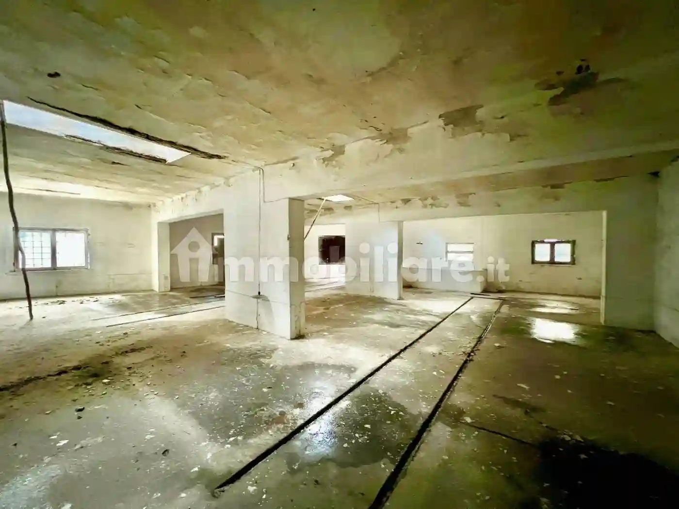 Loft - foto 2