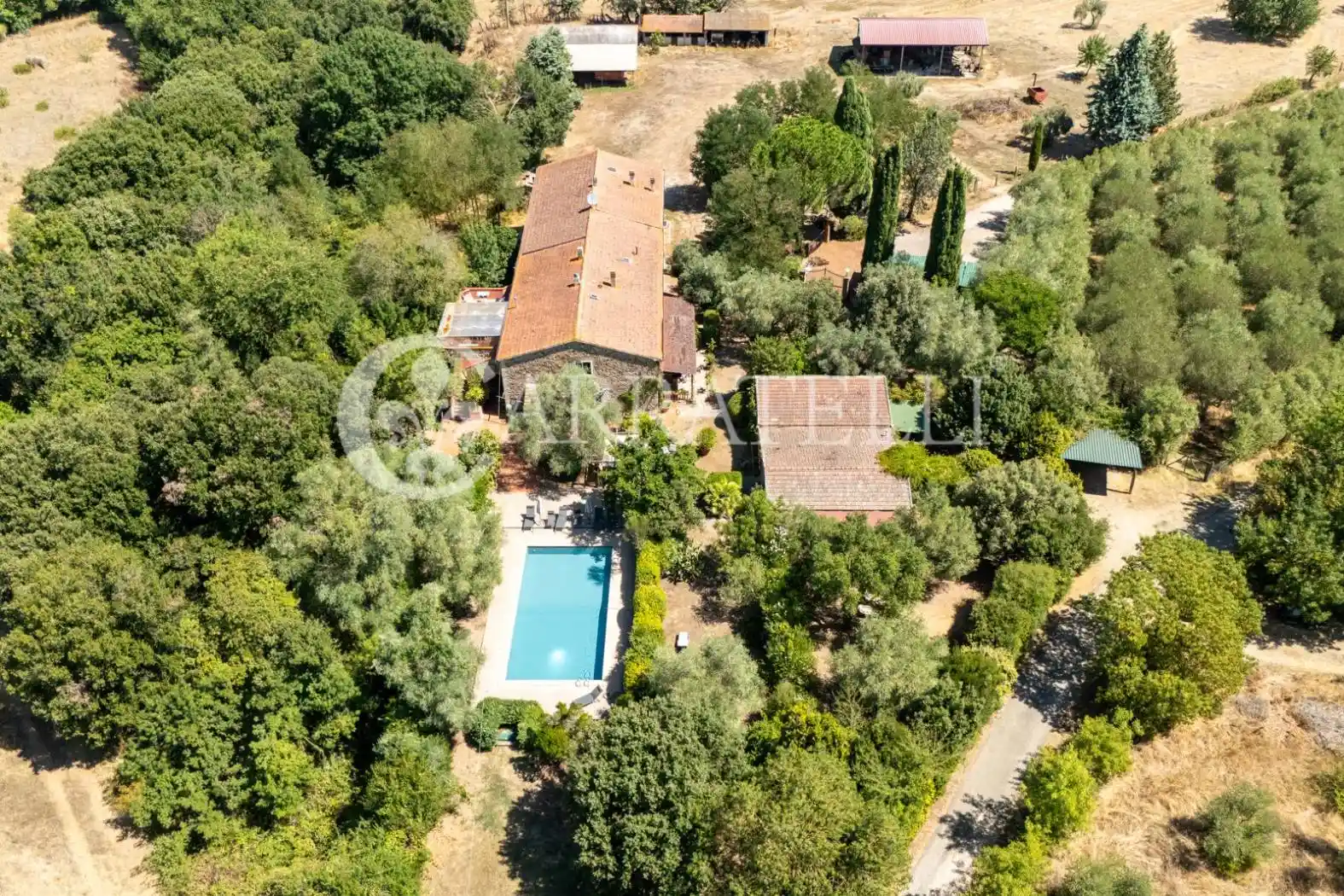 Rustico - Casale in vendita a Campagnatico