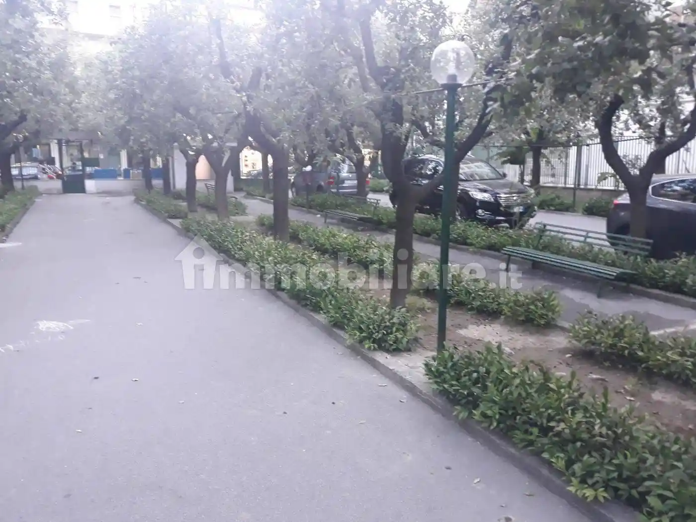 Appartamento in affitto a Cerignola